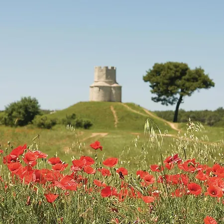 شقة 2 Bedroom Awesome In نين