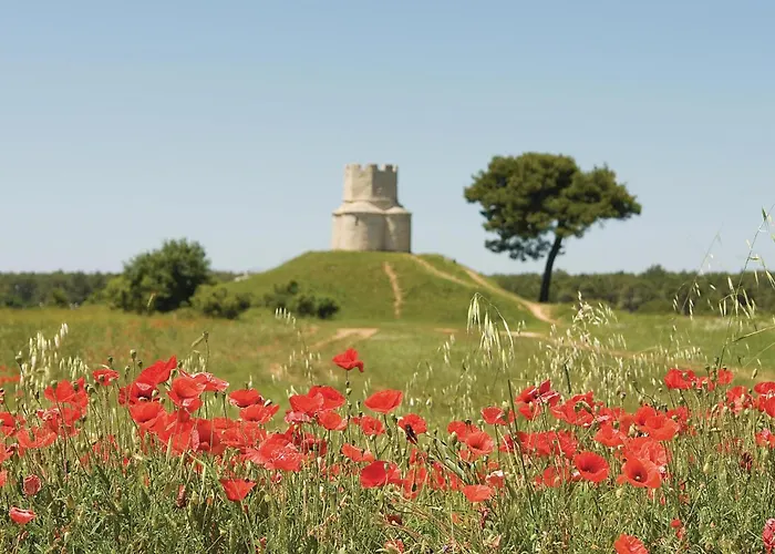 Apartman 2 Bedroom Awesome In Nin